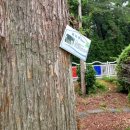 진동초등학교 이미지