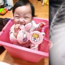 정인컴퓨터 이미지