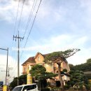 보릿골강동점 이미지