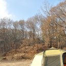 캐슬미르한의원 | 씨알농장에서 회식캠핑...^^