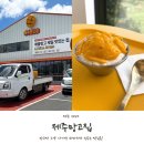 2067 | 제주 애플망고 맛집 제주망고집 생망고빙수 내돈내산 후기!