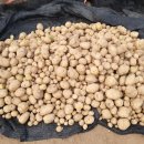 산우물농장 이미지