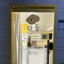 다둥 반려견 호텔 유치원 이미지