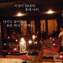나비포차 Daum카페