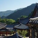 만대공원길 | [계절 여행] 경남 합천 해인사 단풍 절정 시기와 팔만대장경길 가을 여행