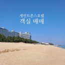 강릉 바다 공인중개사사무소 이미지