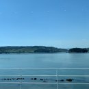 오동도 광장 이미지