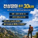 [옥천/영동] 천성장마 종주 30km 완벽 가이드 (지도 &amp; gpx 트랙) - 설악산 공룡능선급 조망의 명품 암릉 산행 이미지