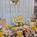 라라다온 이미지