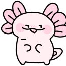 스토리터치