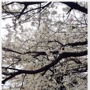 영강체육공원길 이미지