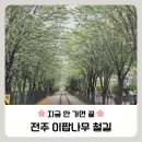 덕진-105 | 지금이 절정 🌸 전주 이팝나무 철길 다녀온 솔직후기 (주차 정보까지)