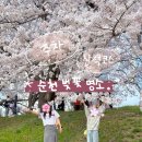 외오천마을회관 | 전남 벚꽃 명소 순천 하풍마을회관 옆 동천 주차장