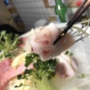 강경수참치 티스토리