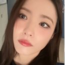 브이로그