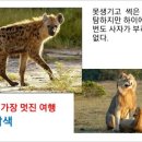 양태극권 이미지