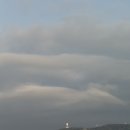 강남욱김밥 이미지