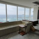 오션하버 이미지