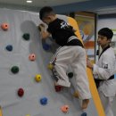 용인대중앙태권도 이미지