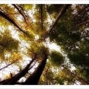 가야1리경로당 이미지