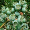 서한농장 이미지