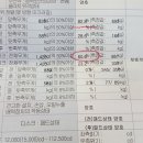 힐링카모터스 티스토리