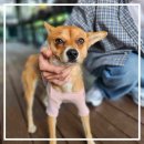 군산시-01068 이미지