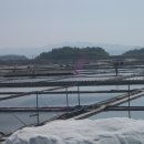 천일지물 - 시흥시 신천2길 25 | 천일지물