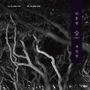 숲(Forest) 이미지