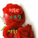 수요일 - 종로구 인사동길 36 | 수요일