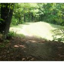 비학산 누리길 이미지