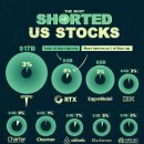미국에서 가장 많이 공매도된 주식(2023년 가을) 이미지