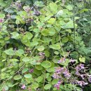 구월근린공원 이미지