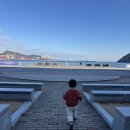 해양곰장어 이미지