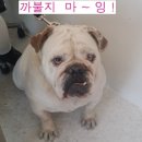 성환축산 이미지