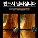 노노먼트