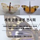 인천나비공원 이미지