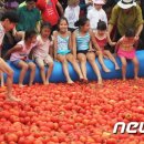 횡성 둔내면서 '고랭지 토마토 축제 이미지