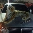 맥도반점 이미지