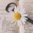 작전노인대학 | 어니스트헤밍웨이 작가생애 &lt;노인과바다&gt; 줄거리