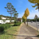 노적봉 도당지 이미지