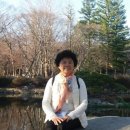 신성사거리~진천IC 이미지