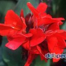 자연동산어린이집 이미지