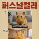 퍼스널 이미지 블렌딩 이미지