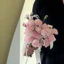 오디플레르