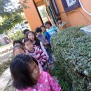 마늘파종시기,마늘의효능,육쪽마늘과 감기.위장병 이미지