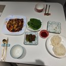 서해쭈꾸미 | 서해 갑오징어 쭈꾸미 선상낚시 무창포 헤라호 출조 후기