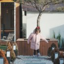 헤난스테이 이미지