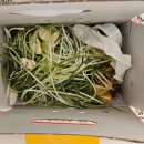 육사시미 콘서트 3 이미지