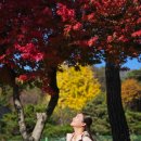 삼한의초록길R | 수소 전기버스 타고 떠나는 (제천 의림지 / 삼한의 초록길 / 배론성지 트레킹) 친환경 여행 (by 승우...